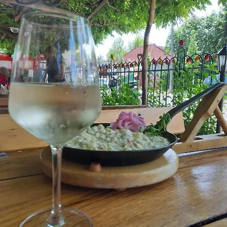 Portum Vendeghaz Apartment